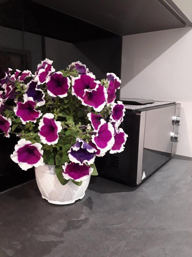Apartament Near The Airport Kiriaki'S House Heraklion Zewnętrze zdjęcie